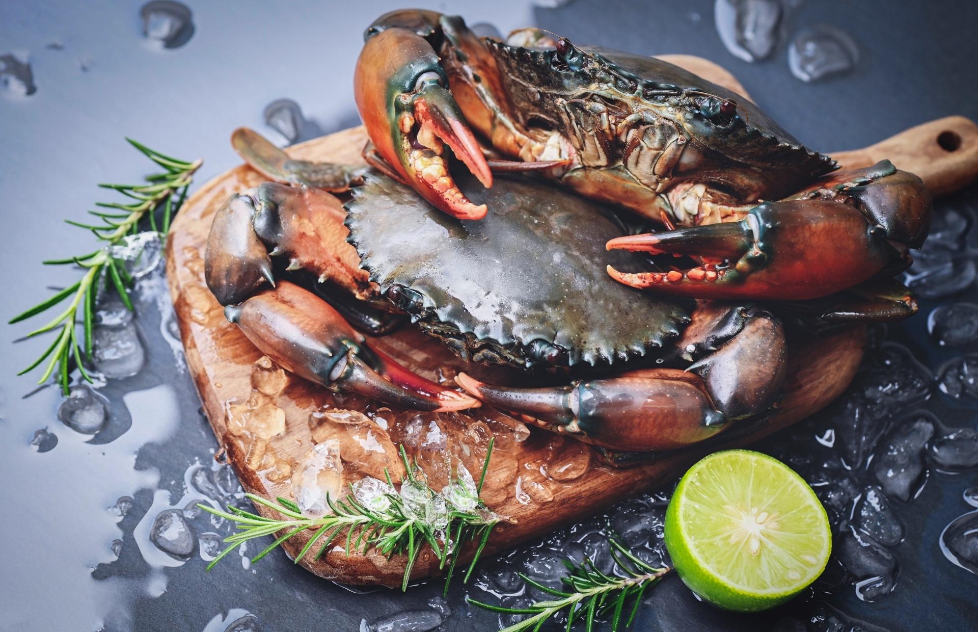 Premium Shellfish - Jagota