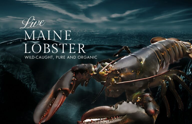 A buyer’s guide to Jagota’s seafood products